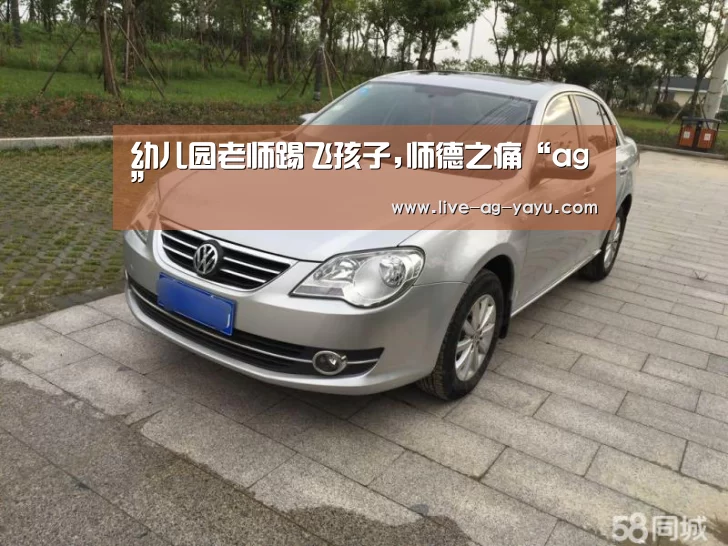 幼儿园老师踢飞孩子,师德之痛“ag”(图4) ag官网