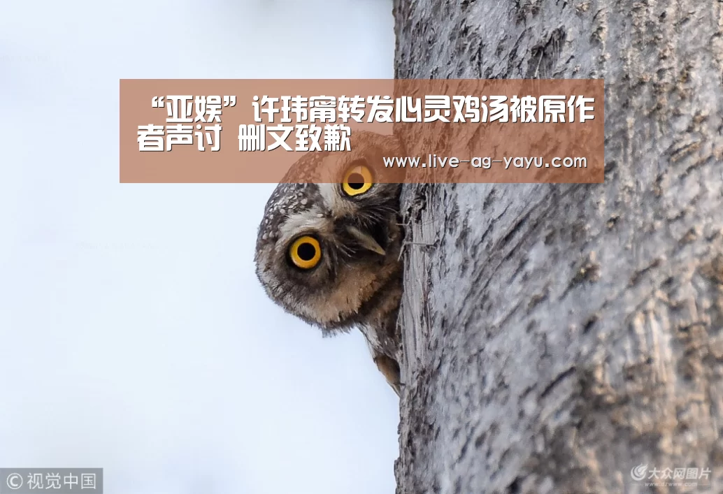 “亚娱”许玮甯转发心灵鸡汤被原作者声讨 删文致歉(图4) ag官网