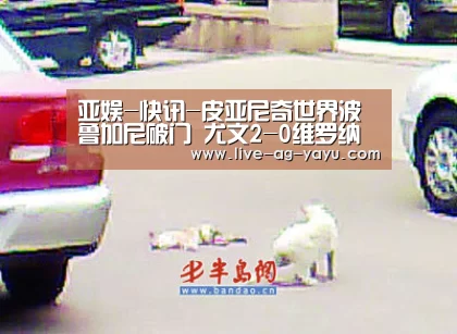 亚娱-快讯-皮亚尼奇世界波鲁加尼破门 尤文2-0维罗纳